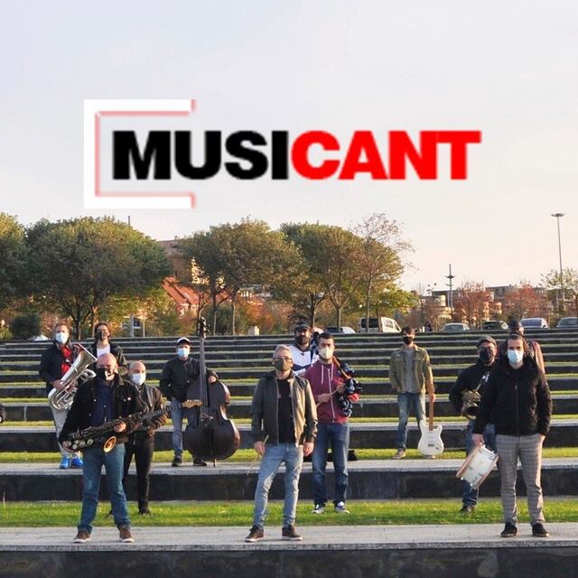 Musicant