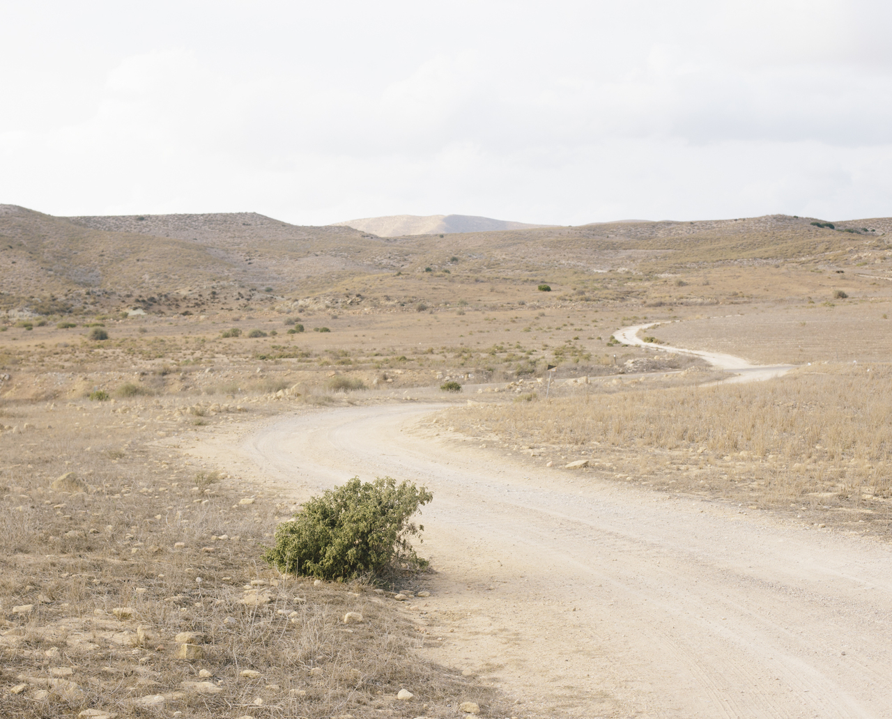  El Temporal: un espacio para el arte y el pensamiento. Un lugar donde calmar (o recuperar) la sed